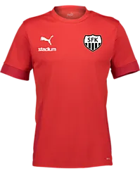 394146101101 PUMA T Goal Matchday Jsy Jr 394146101101 PUMA T Goal Matchday Jsy Jr Standard Small1x1