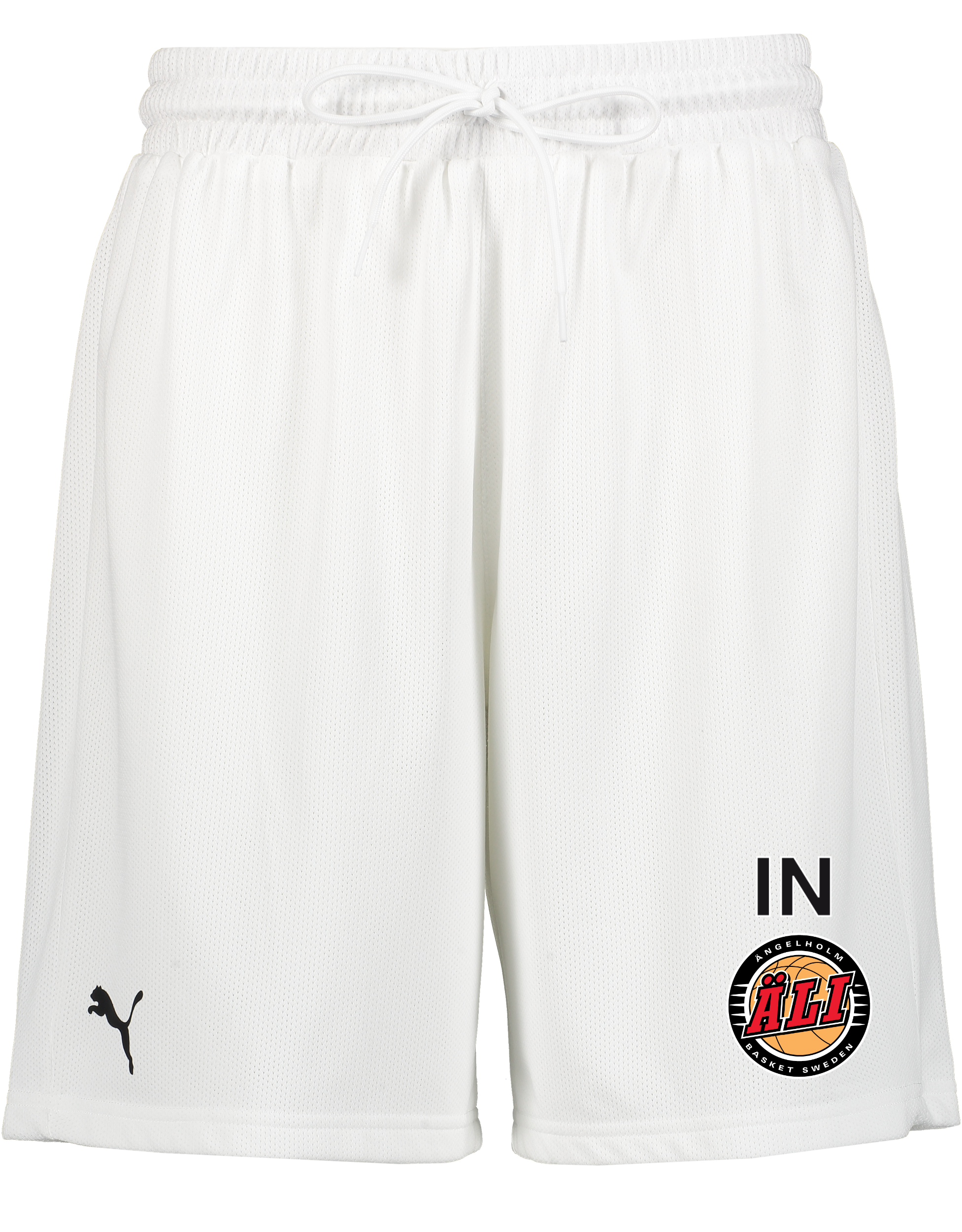 
PUMA, 
Hoops Team Practice Short, 
Detail 1
