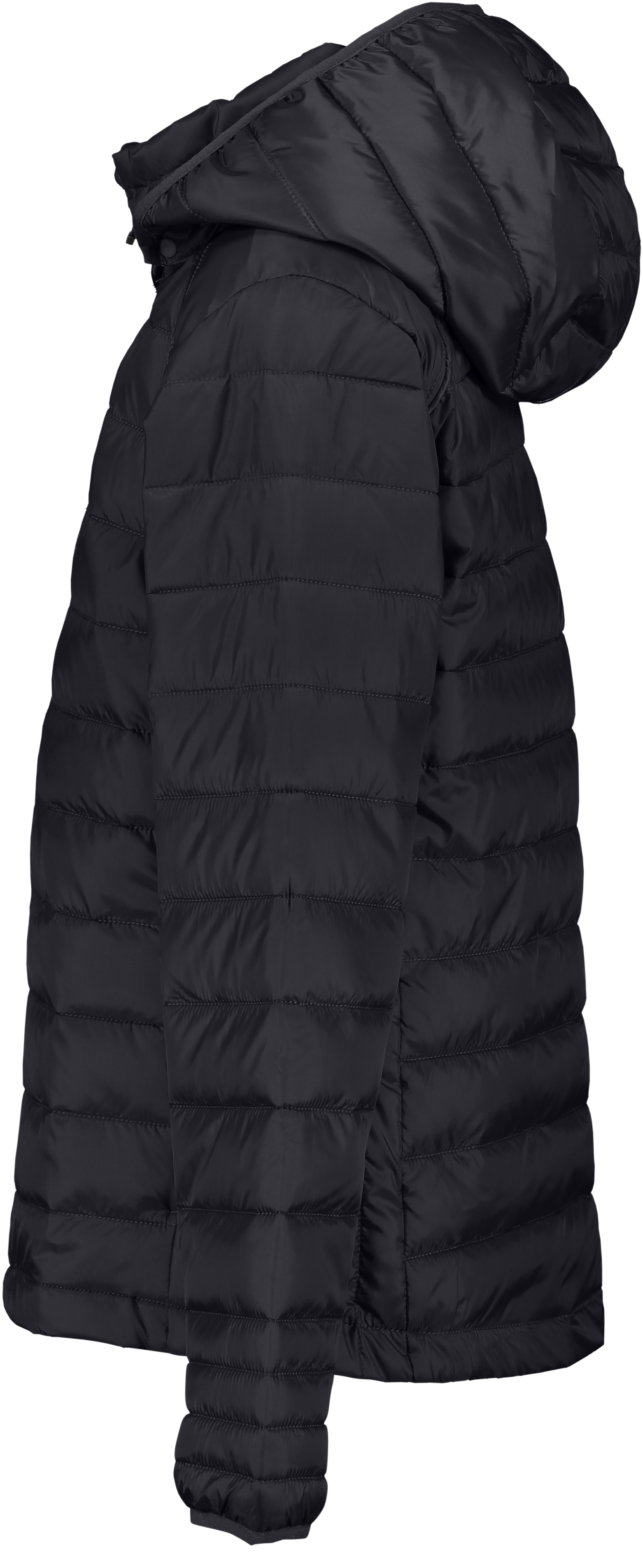 CLIQUE, Hudson Jkt Jr