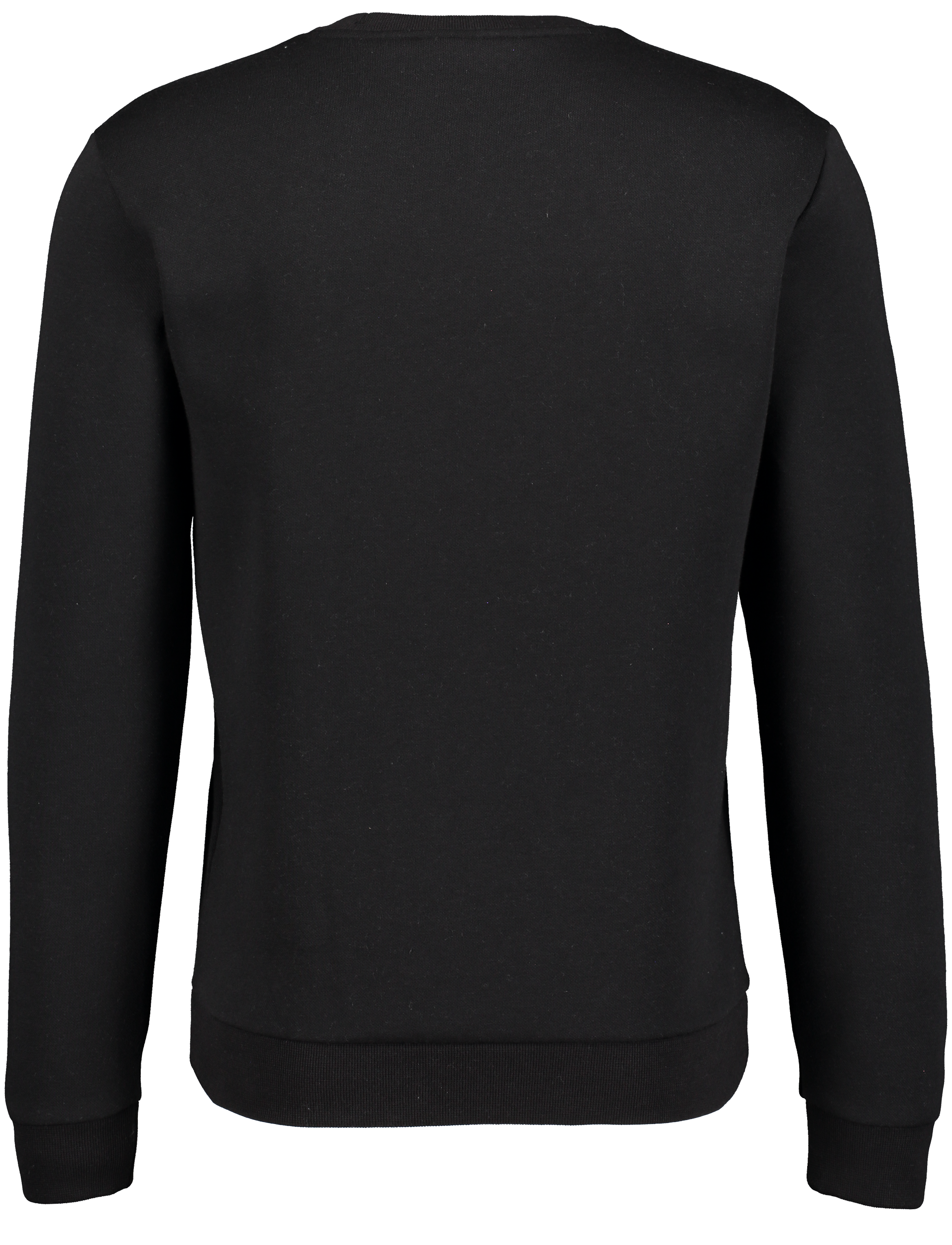 CHAMPION, Crewneck Sweatshirt M