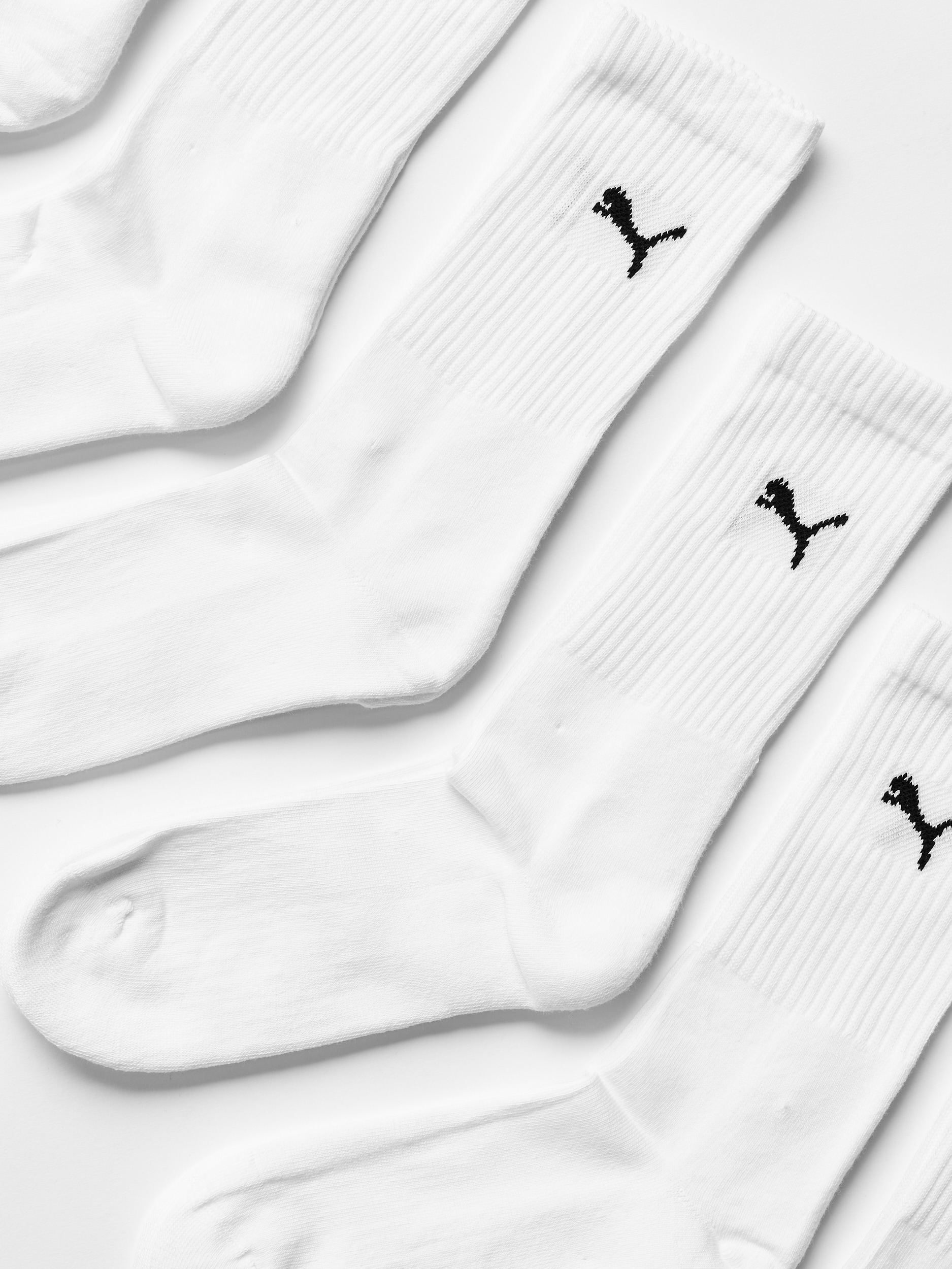 PUMA, U CREW PROMO 6P