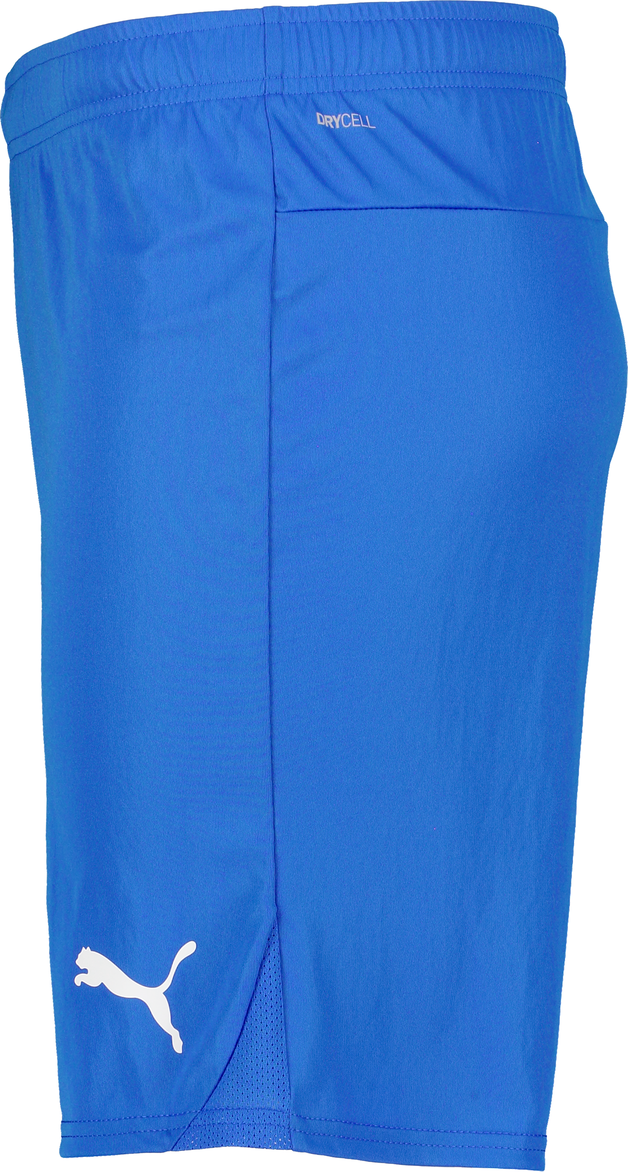 PUMA, T Goal Shorts