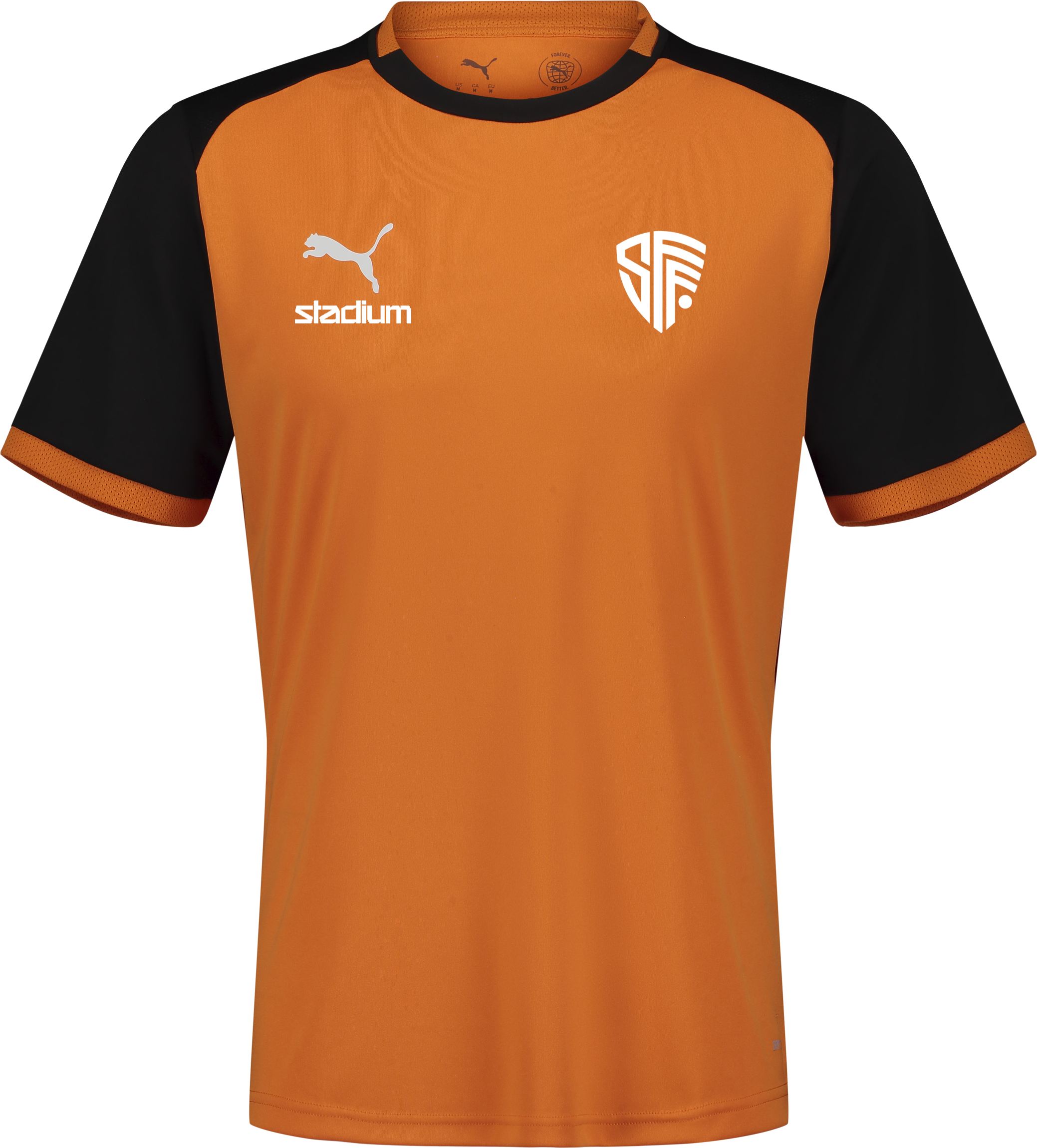 
PUMA, 
TEAMLIGA26 MATCHDAY JERSEY JR, 
Detail 1
