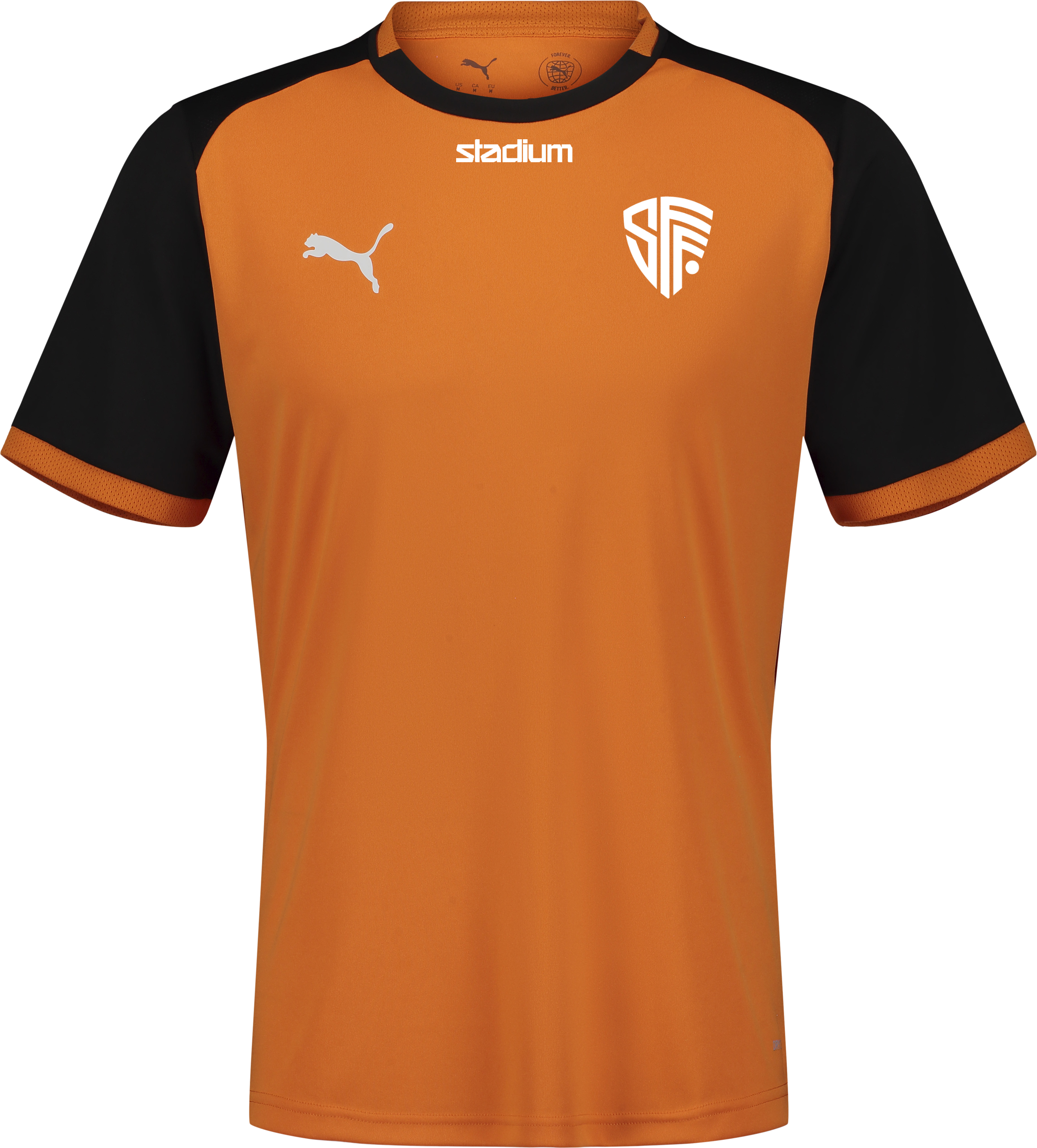 
PUMA, 
TEAMLIGA26 MATCHDAY JERSEY JR, 
Detail 1
