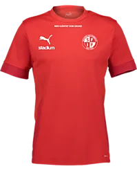394146101101 PUMA T Goal Matchday Jsy Jr 394146101101 PUMA T Goal Matchday Jsy Jr Standard Small1x1