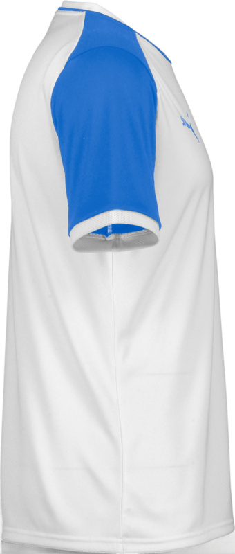 PUMA, TEAMLIGA26 MATCHDAY JERSEY JR