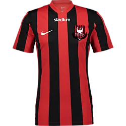 400665108101 NIKE Stripe Dvsn Jsy 400665108101 NIKE Stripe Dvsn Jsy Standard Small1x1
