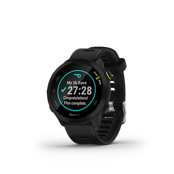 GARMIN Предтеча 55