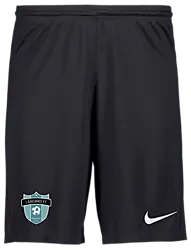 298936101101 NIKE Park III Short 298936101101 NIKE Park III Short Standard Small1x1