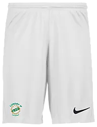 298936103101 NIKE Park III Short 298936103101 NIKE Park III Short Standard Small1x1