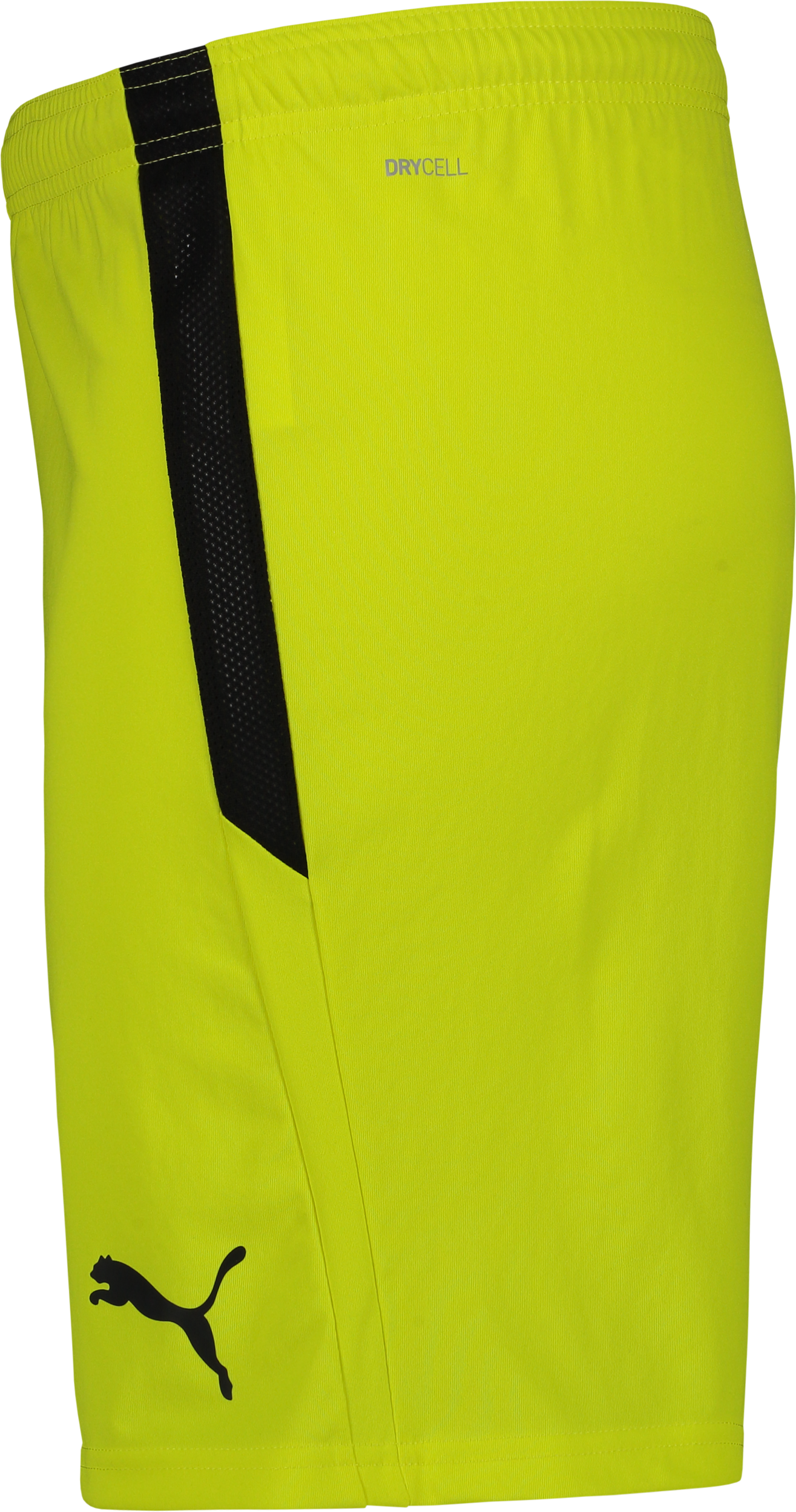 PUMA, T Liga Shorts