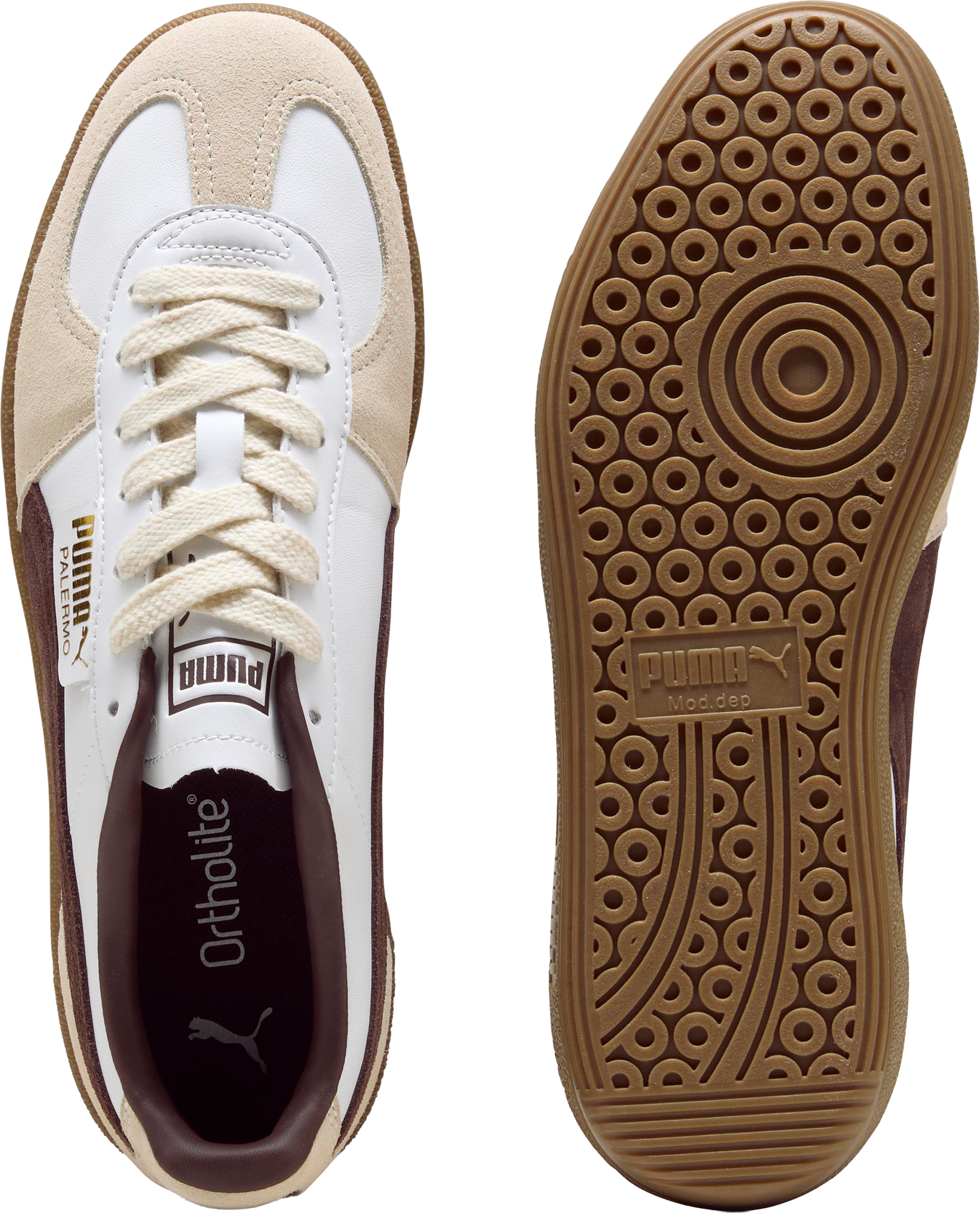 PUMA, PALERMO LTH
