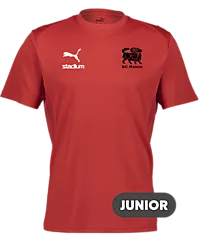 392096101101 PUMA T Goal Trg Jsy Jr 392096101101 PUMA T Goal Trg Jsy Jr Standard Small1x1