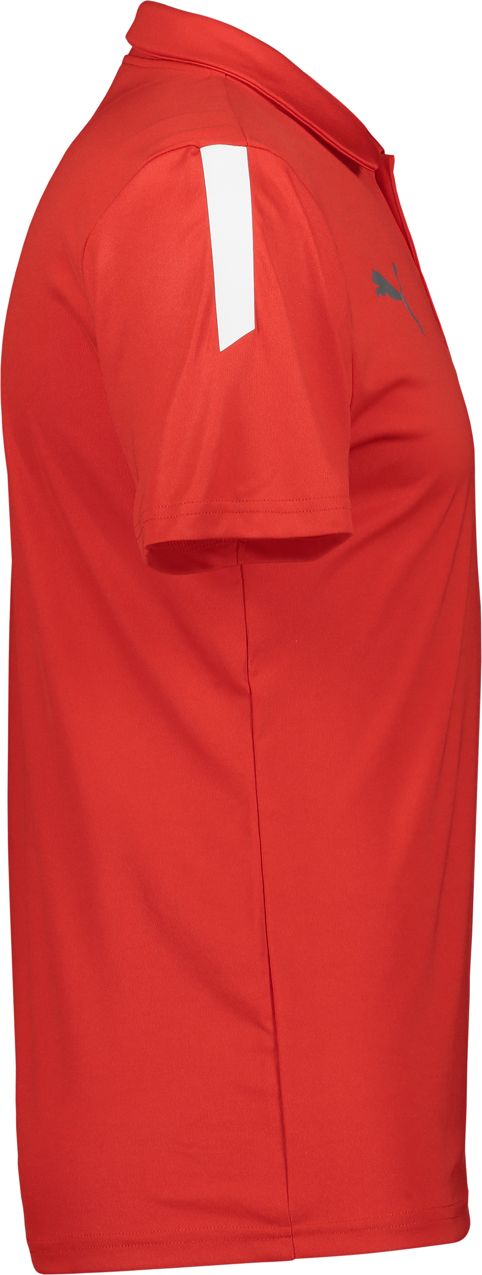 PUMA, T Liga Sideline Polo