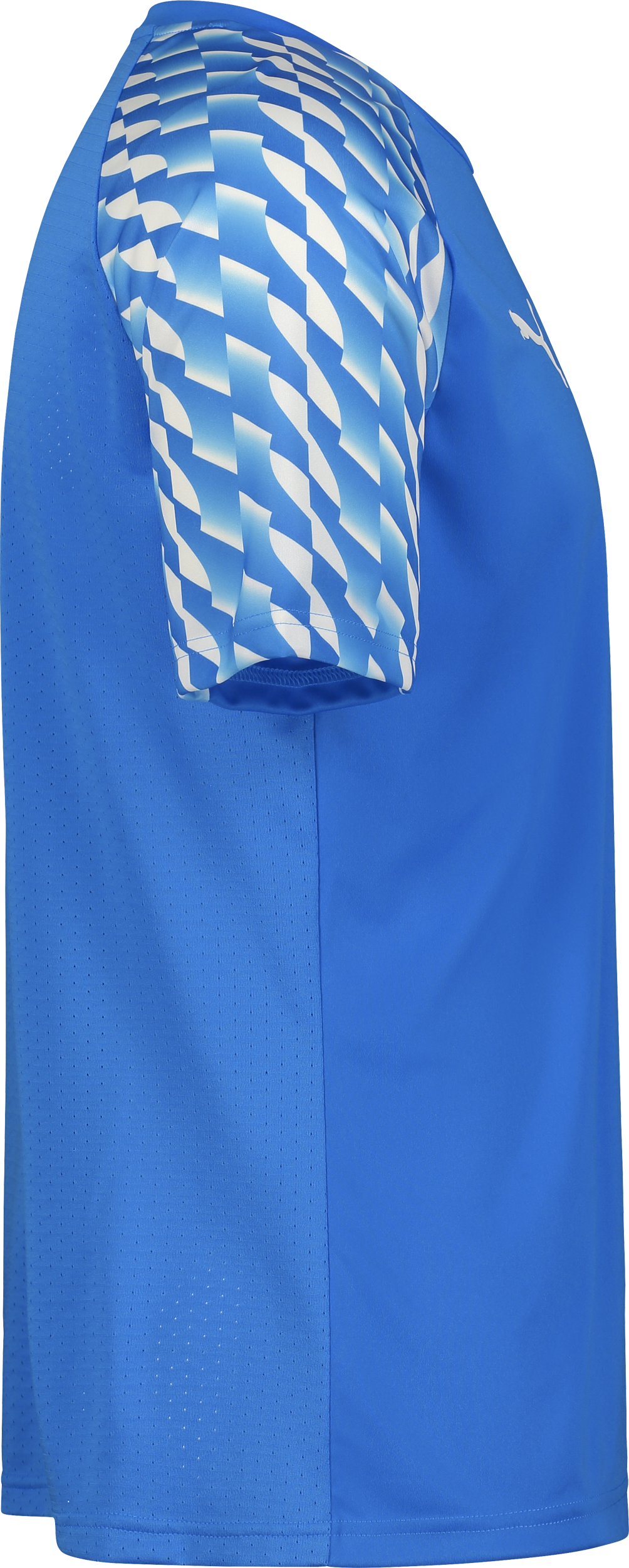 PUMA, TEAMLIGA26 JERSEY JR