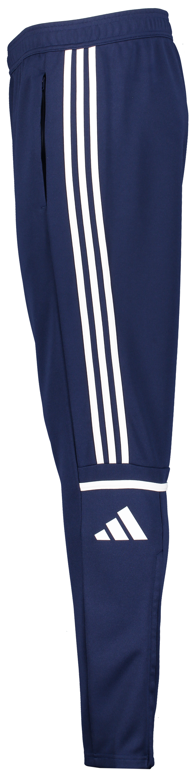 ADIDAS, Squad25 Tr Pnt Jr