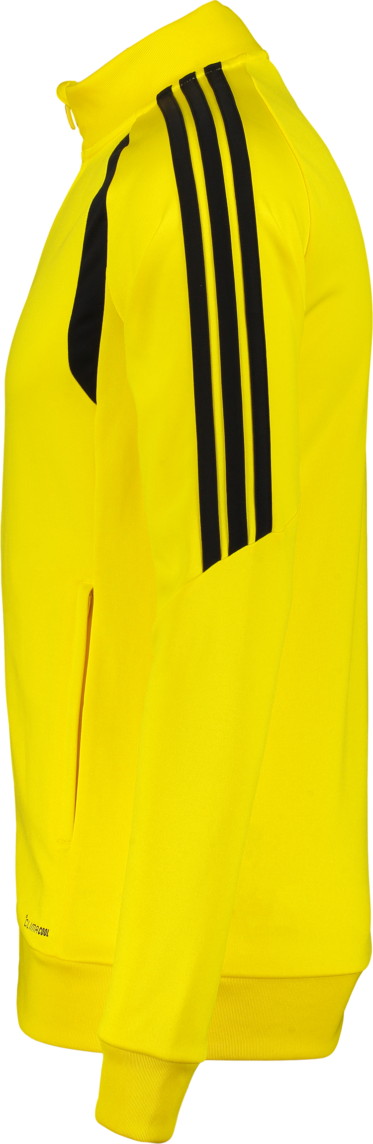 ADIDAS, TIRO26 L TR JKT