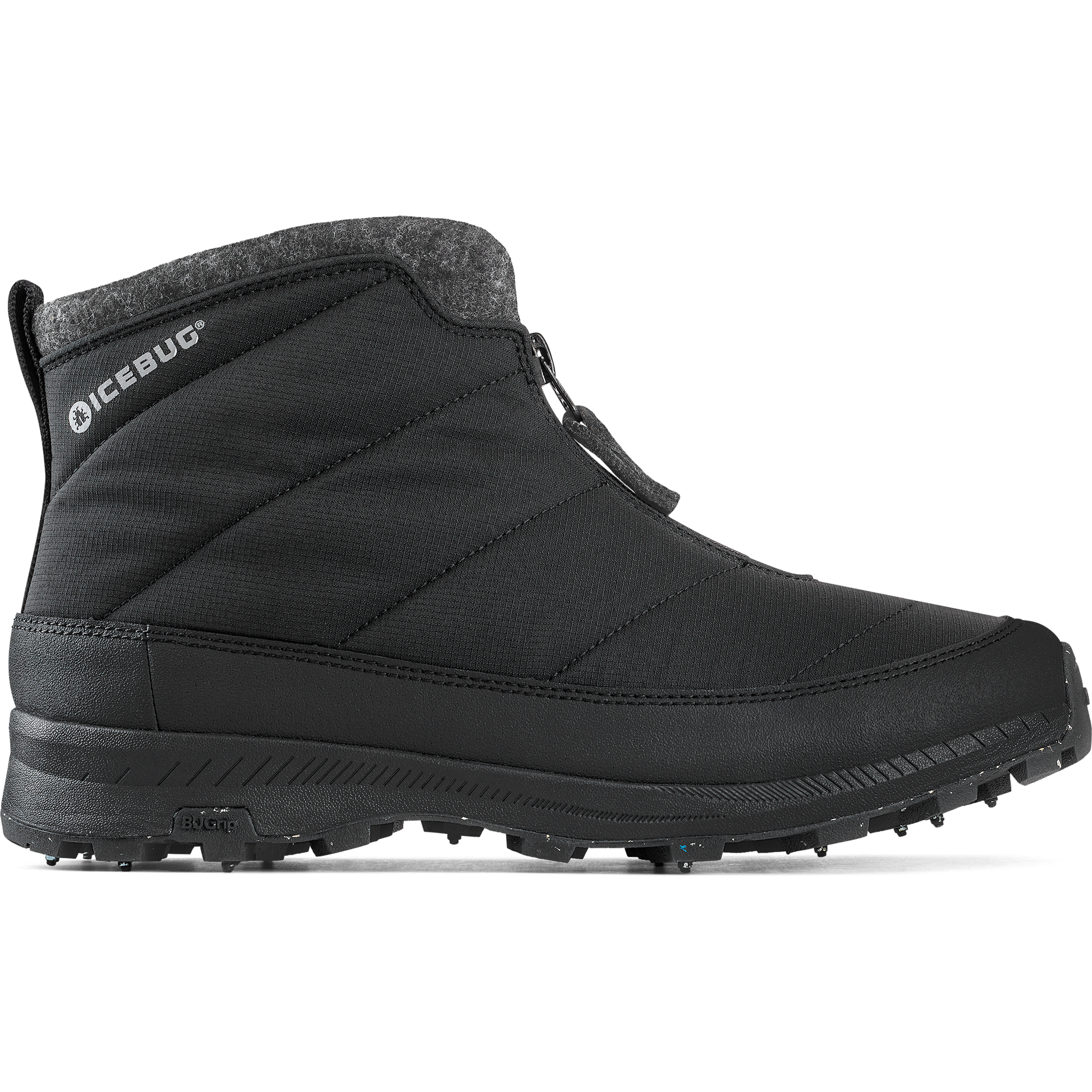 
ICEBUG, 
W Sala W Bugrip, 
Detail 1
