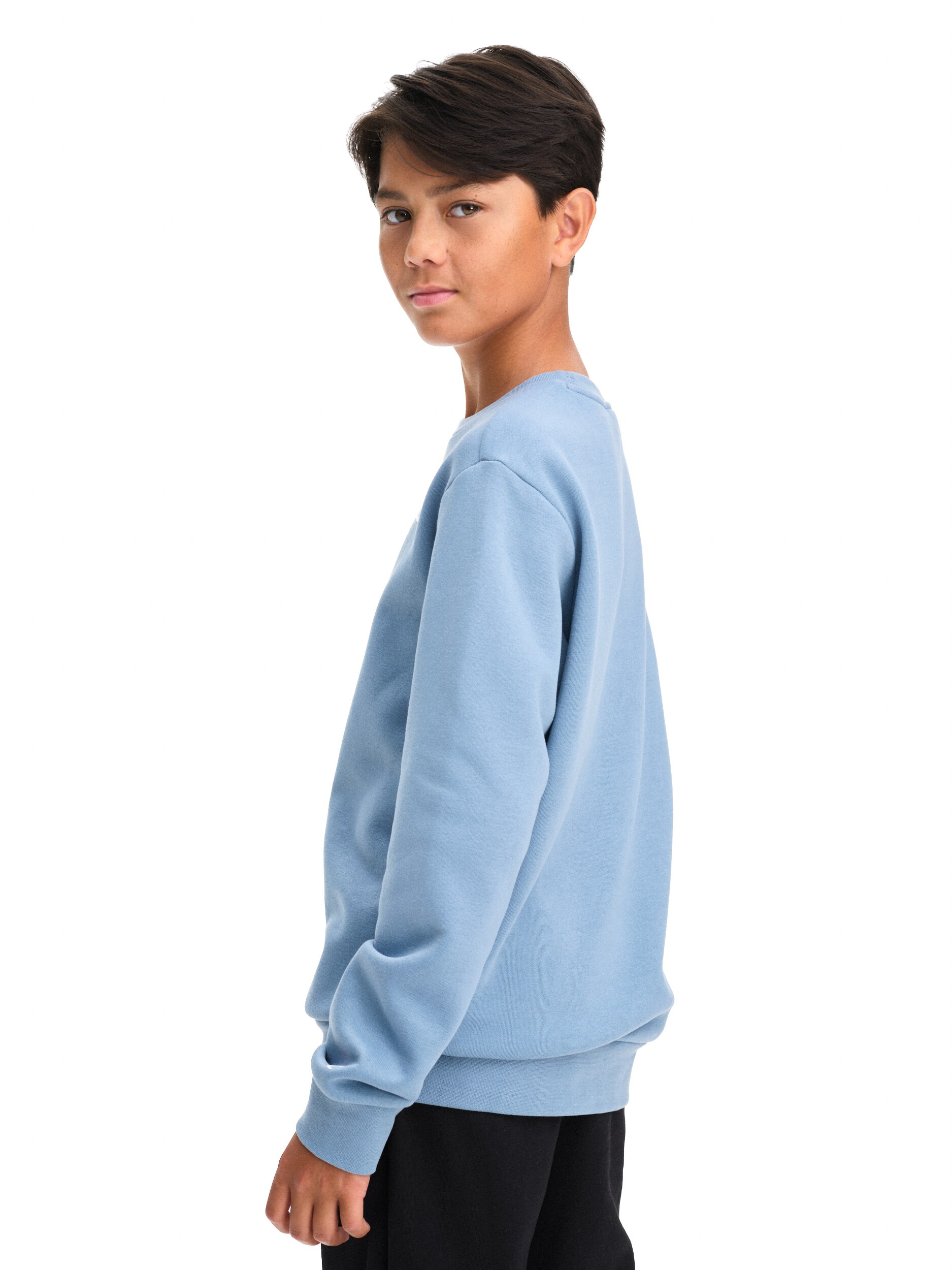 CHAMPION, CREWNECK SWEATSHIRT