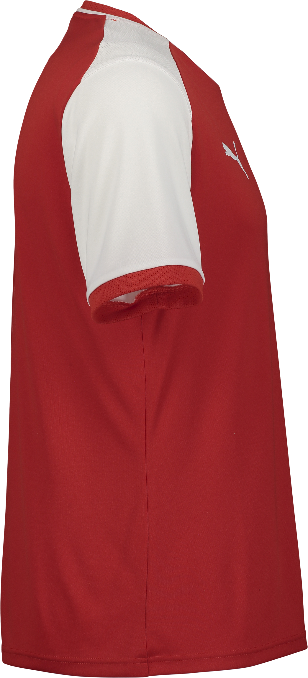 PUMA, TEAMLIGA26 MATCHDAY JERSEY JR