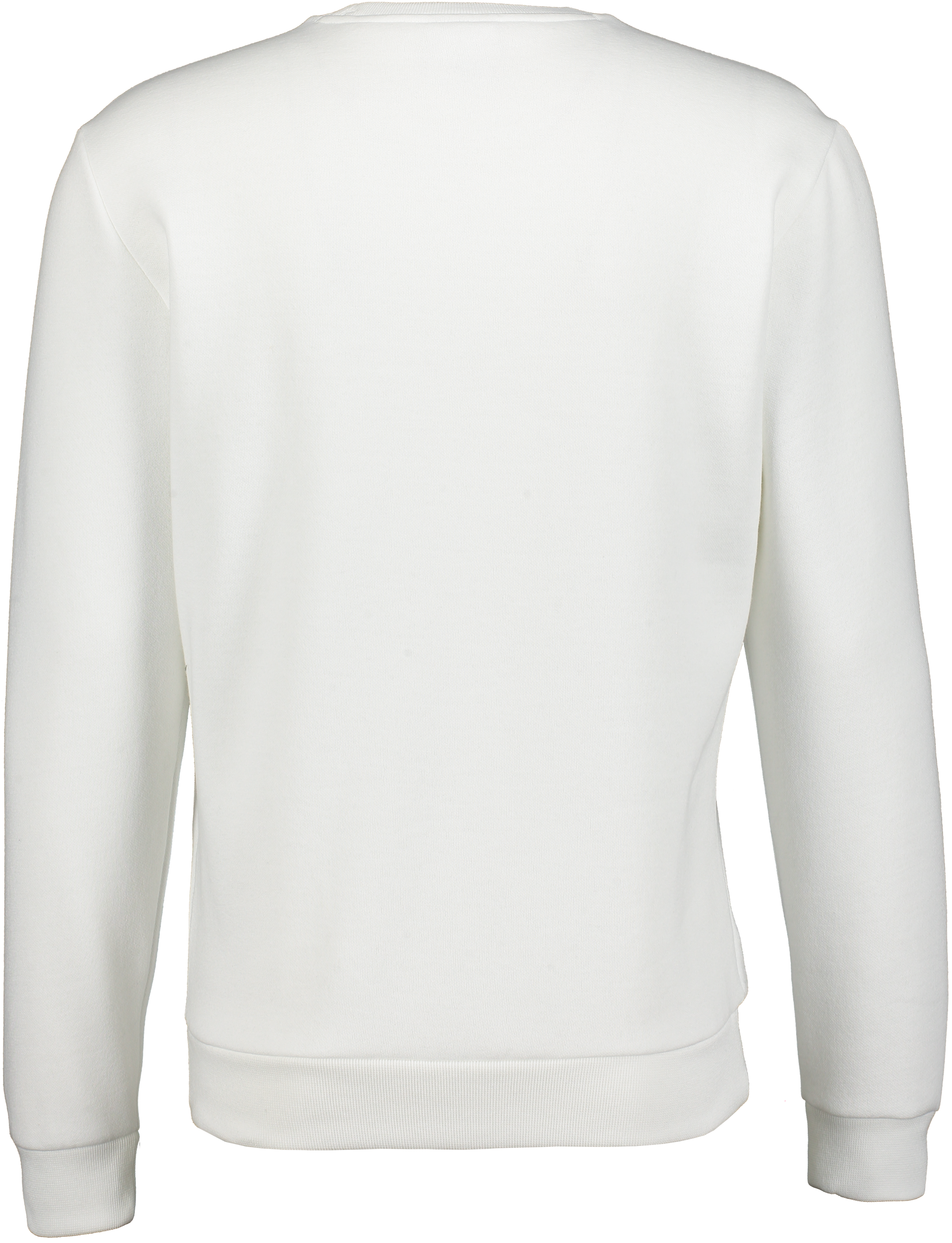 CHAMPION, Crewneck Sweatshirt M