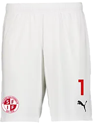 391942104101 PUMA T Goal Shorts 391942104101 PUMA T Goal Shorts Standard Small1x1