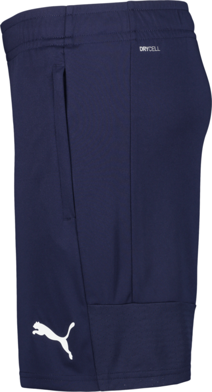 PUMA, TEAMLIGA TRAINING SHORTS