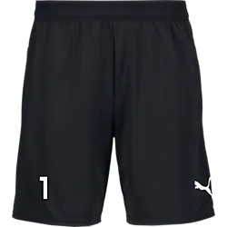 404665103101 PUMA Teamcup Shorts 404665103101 PUMA Teamcup Shorts Standard Small1x1
