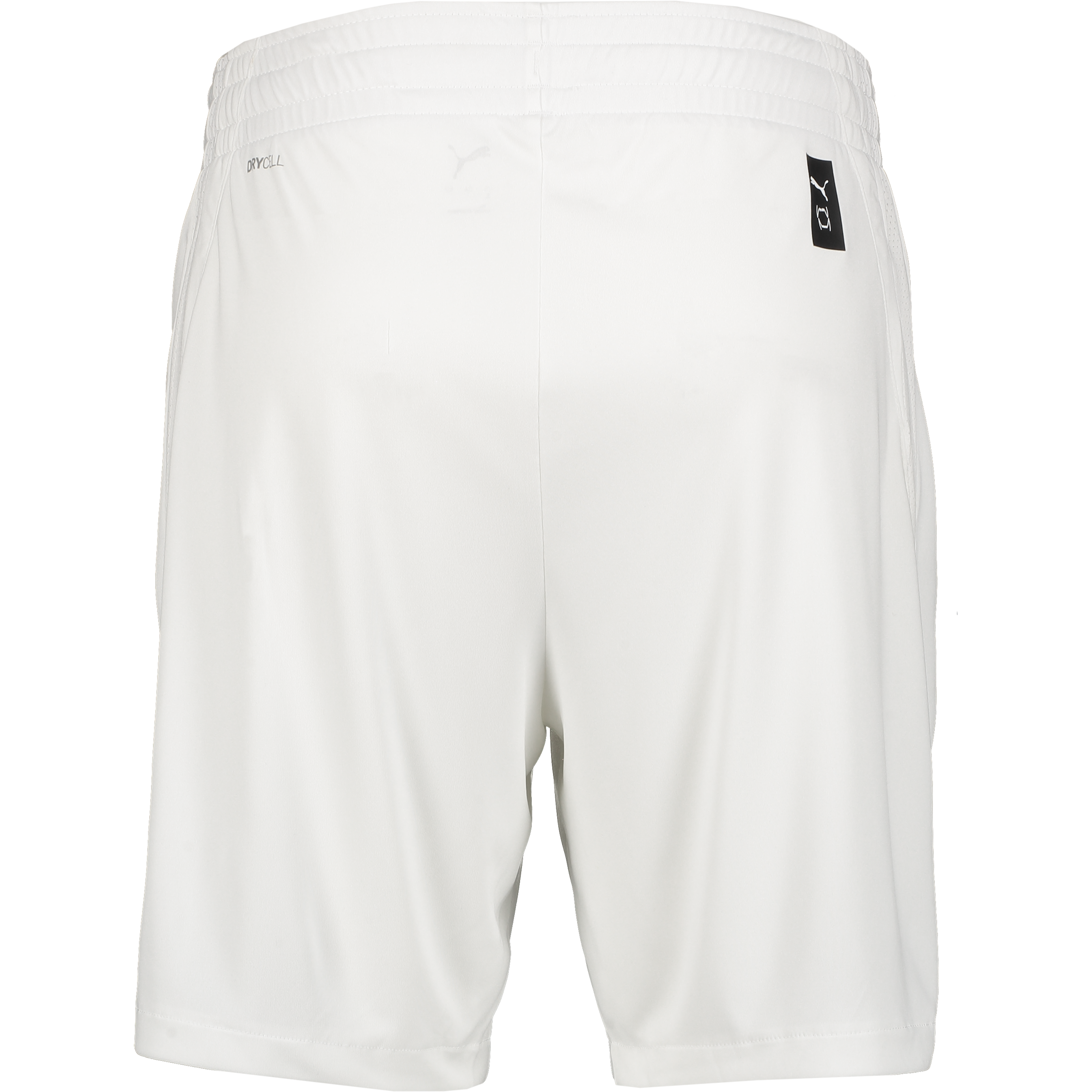 PUMA, TEAMJAWS STARTER SHORTS JR