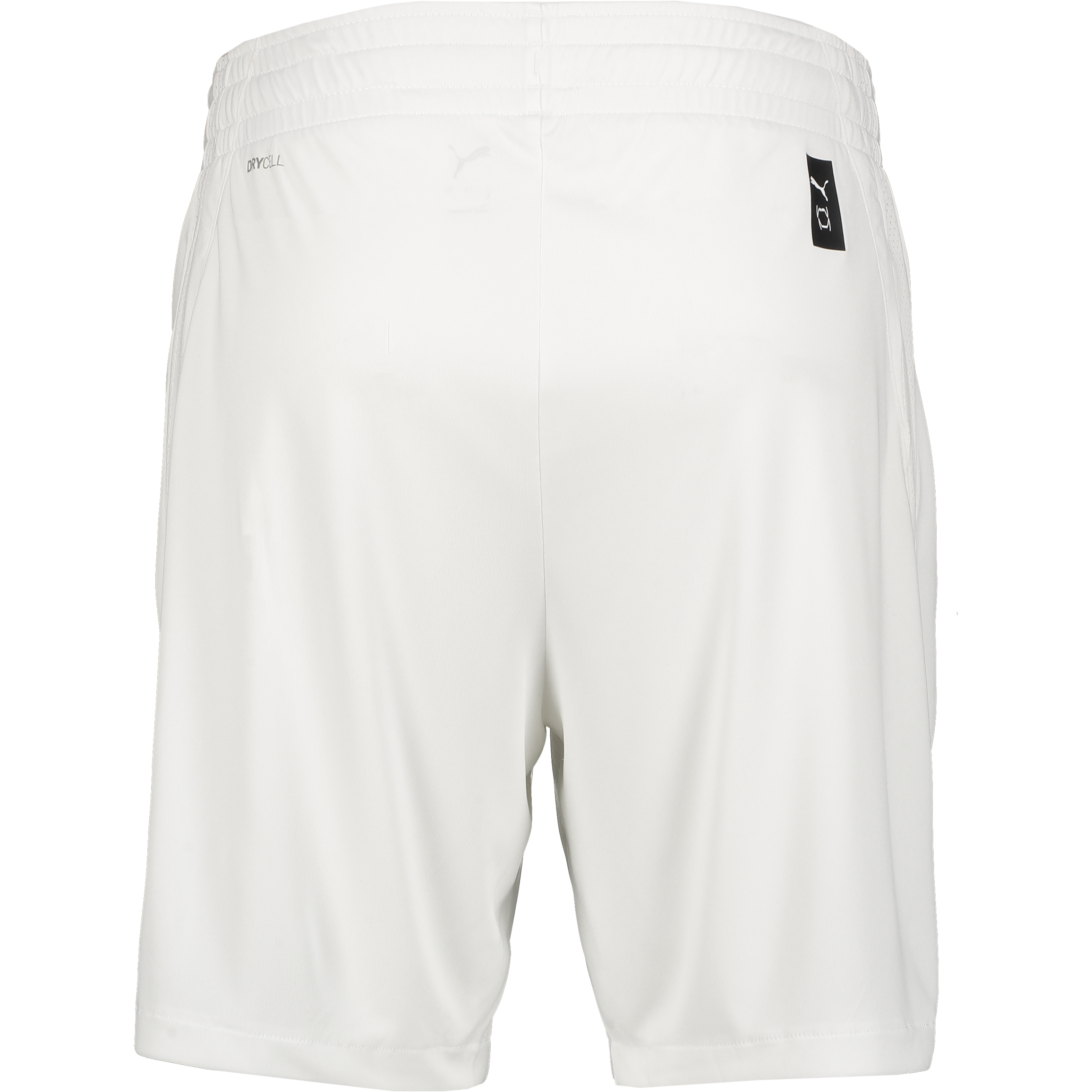 PUMA, TEAMJAWS STARTER SHORTS JR