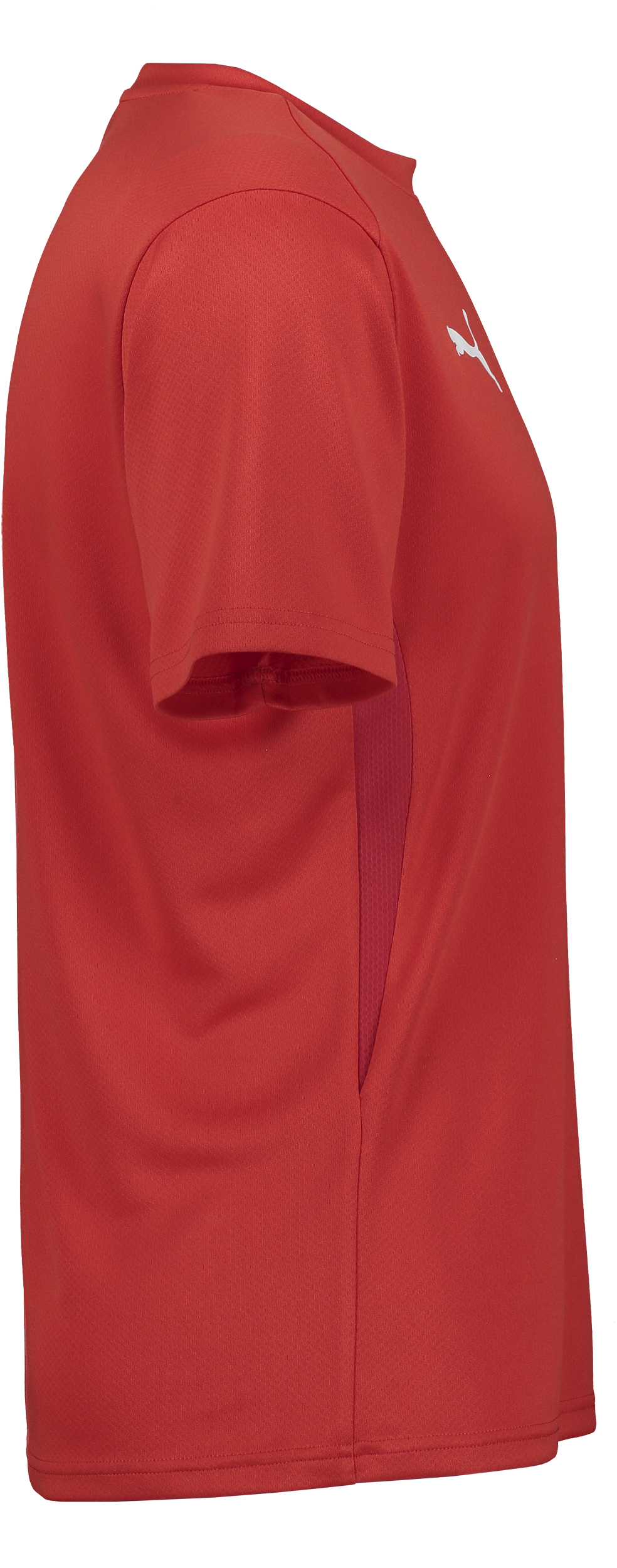 PUMA, T Goal Trg Jsy