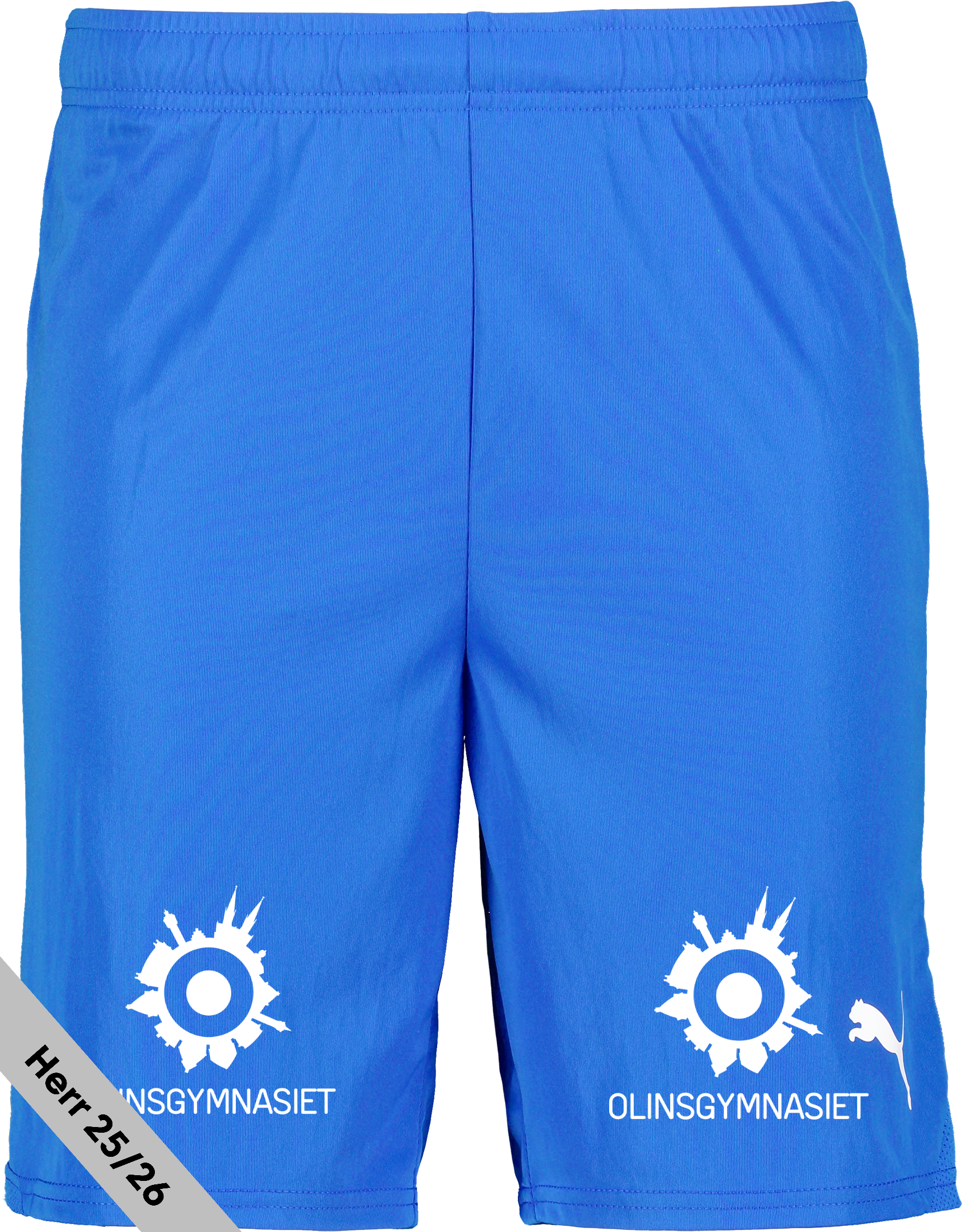 
PUMA, 
T Goal Shorts, 
Detail 1
