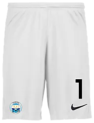 298936103101 NIKE Park III Short 298936103101 NIKE Park III Short Standard Small1x1