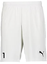 391942104101 PUMA T Goal Shorts 391942104101 PUMA T Goal Shorts Standard Small1x1