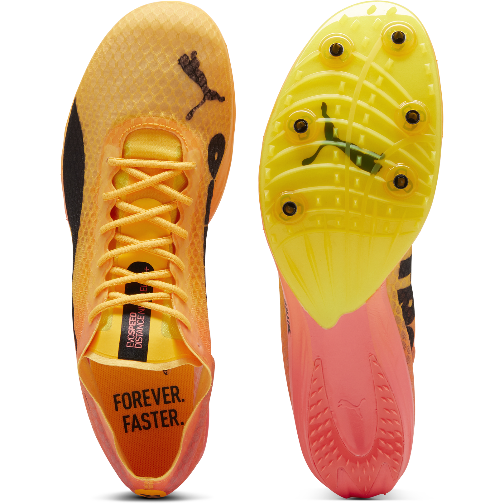 PUMA, Evospeed Distance Nitro Elite+ 4