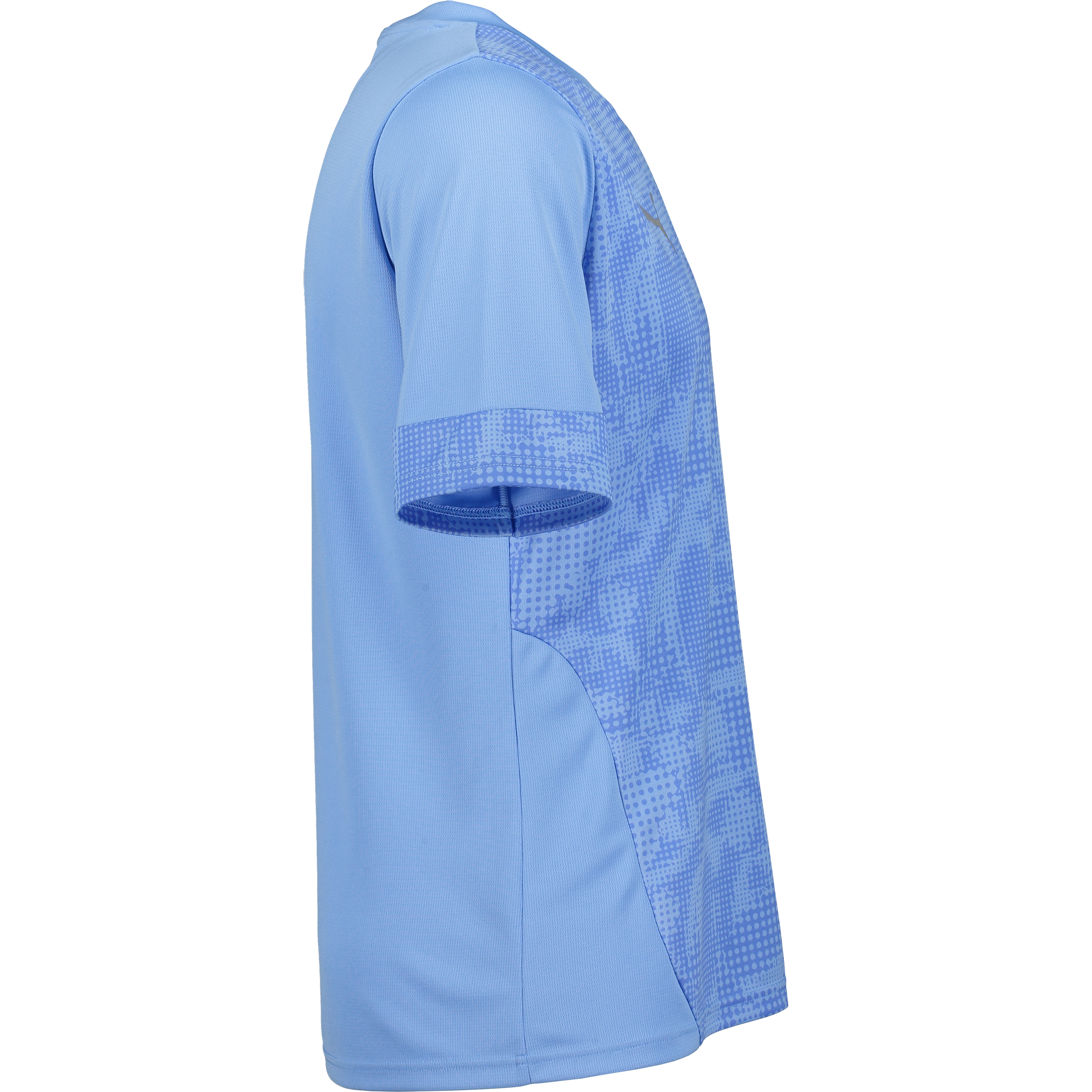 PUMA, Teamcup Training Jersey