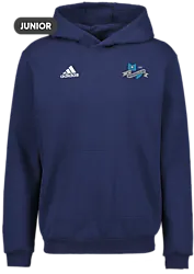 358916103101 ADIDAS Ent22 Hoody Jr 358916103101 ADIDAS Ent22 Hoody Jr Standard Small1x1