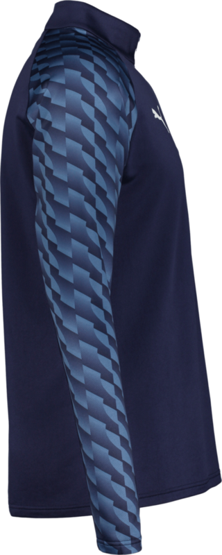 PUMA, TEAMLIGA26 TRAINING 1/4 ZIP TOP JR
