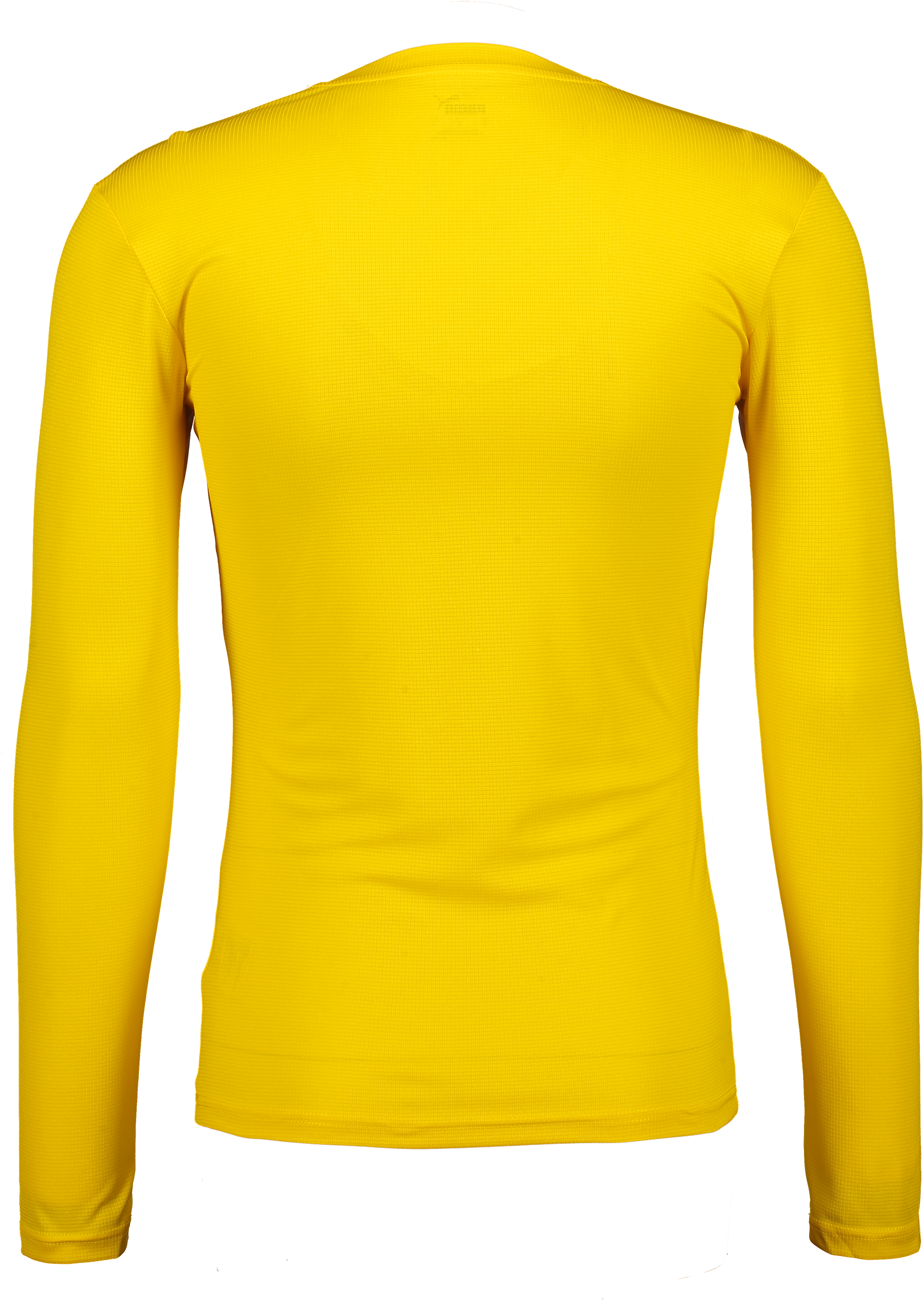 PUMA, T Goal Bl Ls Jsy Jr