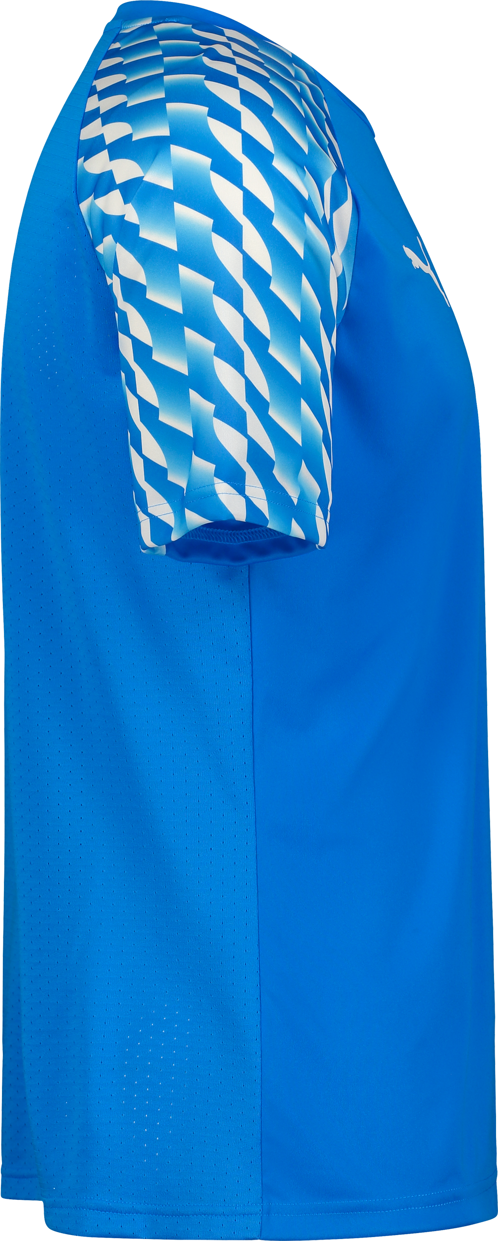 PUMA, TEAMLIGA26 JERSEY