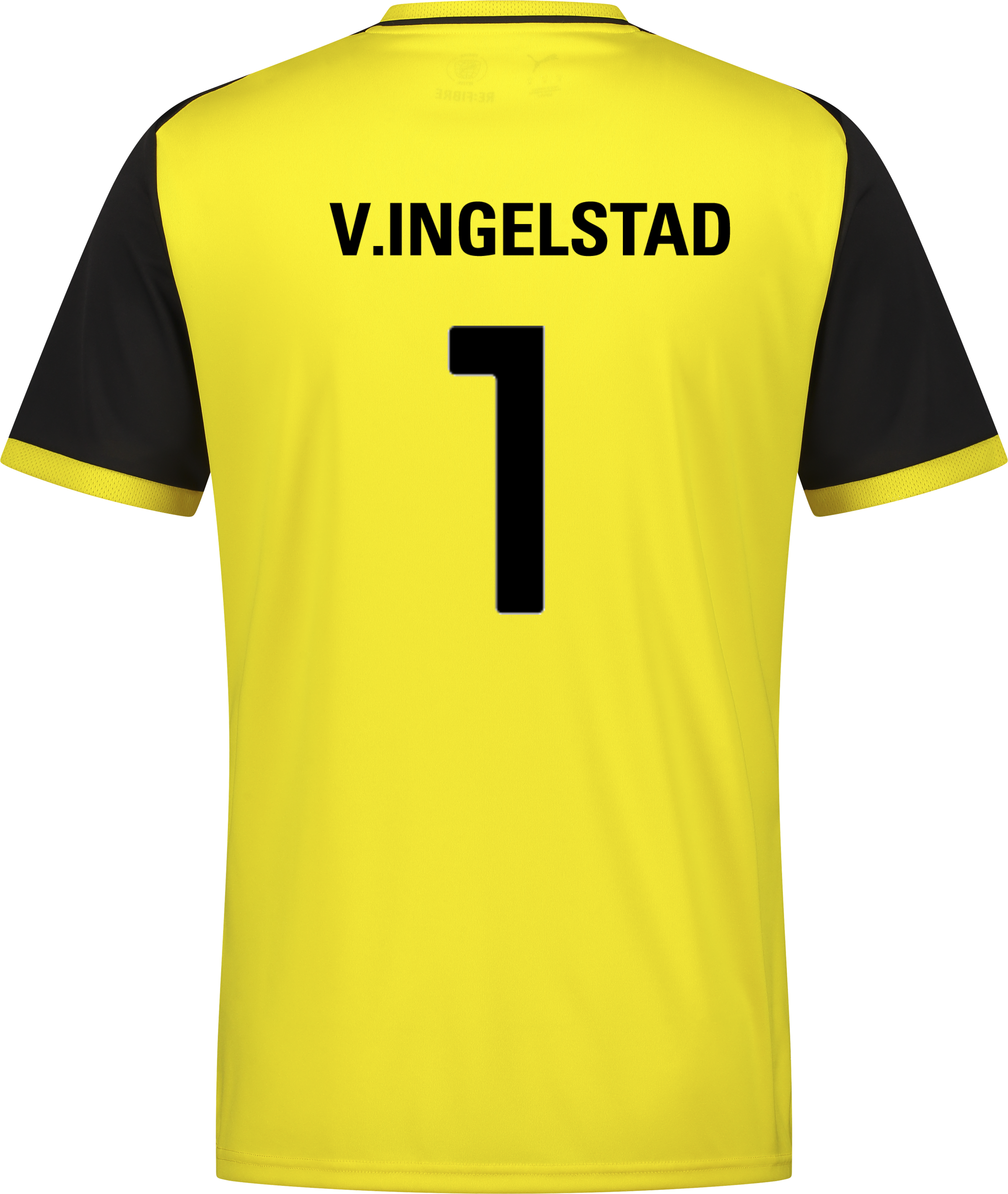 PUMA, TEAMLIGA26 MATCHDAY JERSEY JR