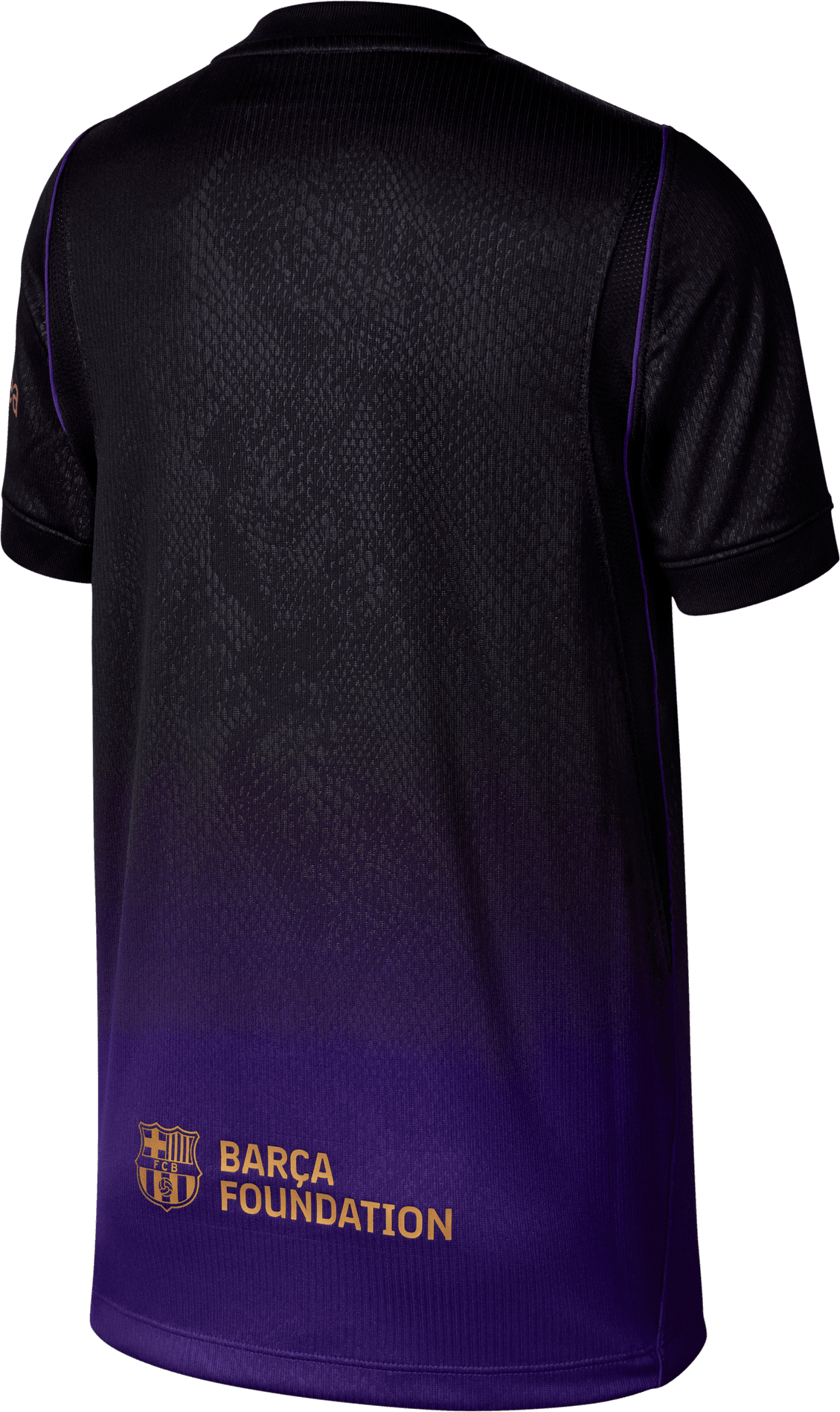 NIKE, FCB Y NK DF JSY SS STAD AW