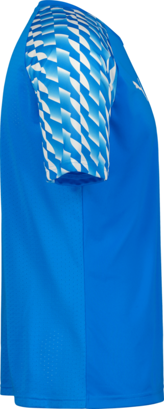 PUMA, TEAMLIGA26 JERSEY