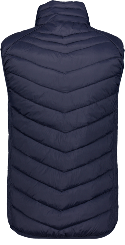 CLIQUE, Idaho Vest