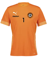 394146108101 PUMA T Goal Matchday Jsy Jr 394146108101 PUMA T Goal Matchday Jsy Jr Standard Small1x1