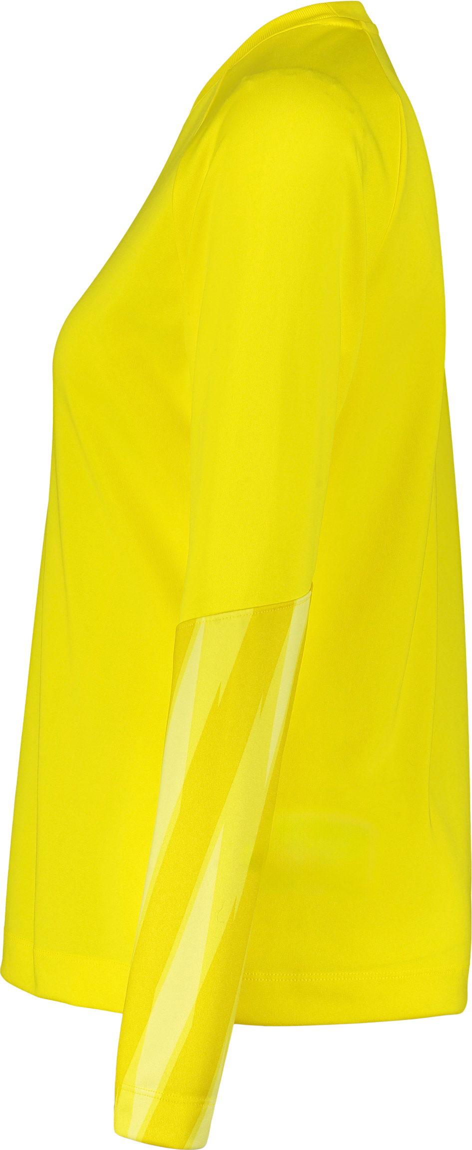 NIKE, PARK V GK LS JSY W