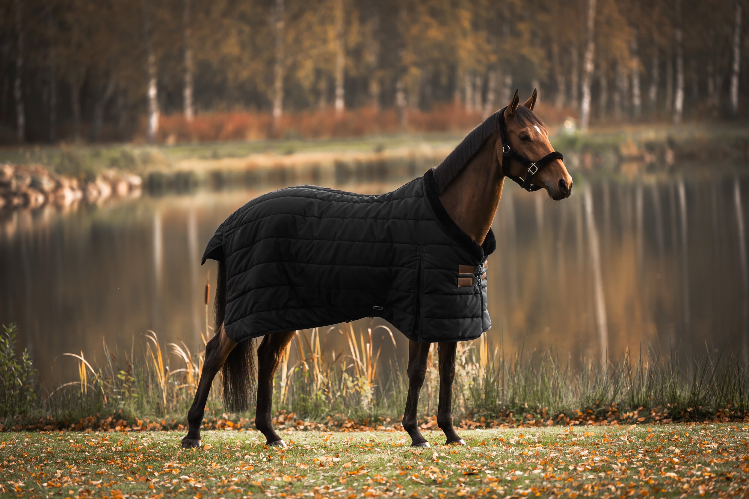 HANSBO, Rug Faux Fur