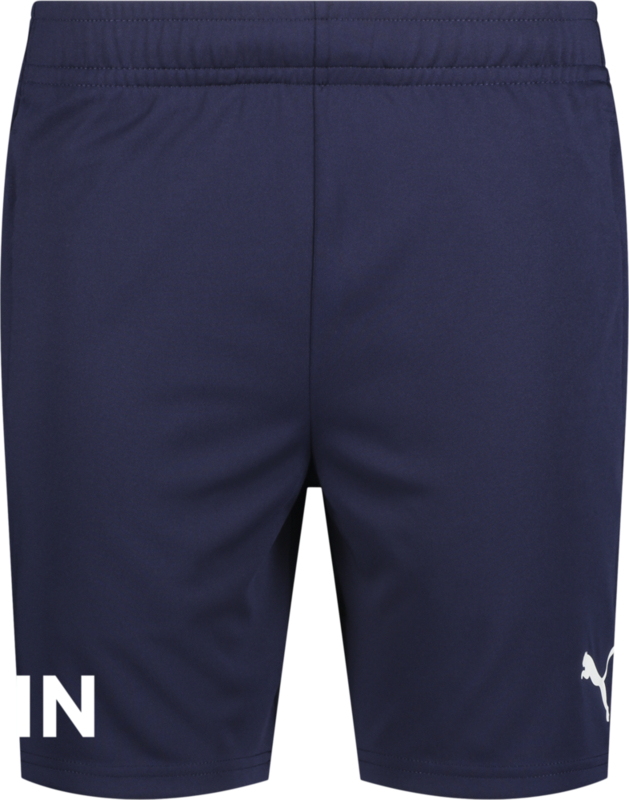 
PUMA, 
TEAMLIGA TRAINING SHORTS, 
Detail 1
