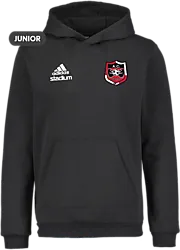 358916102101 ADIDAS Ent22 Hoody Jr 358916102101 ADIDAS Ent22 Hoody Jr Standard Small1x1