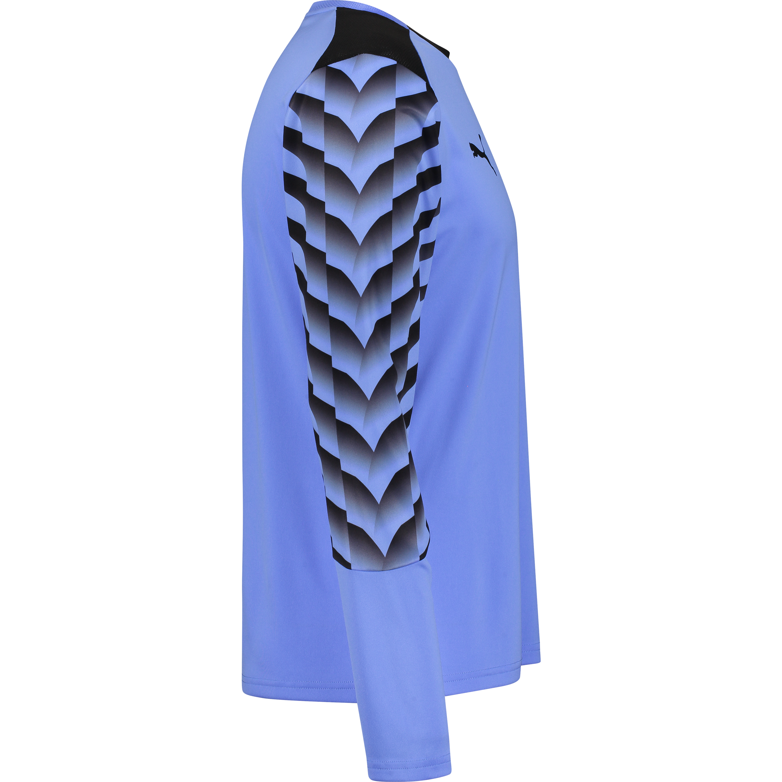 PUMA, TEAMLIGA26 GK JERSEY LS
